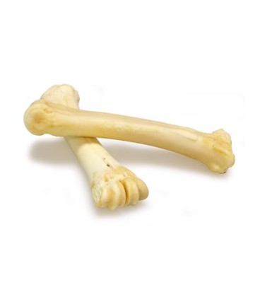 Huesos de Calcio de búfalo 18-25cm