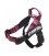 ARNES XTREME CLASSIC DOG ROSA -TALLA-S(49-67cm)