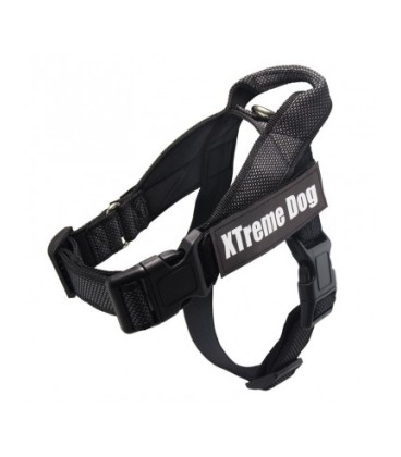 ARNES XTREME CLASSIC DOG NEGRO TALLA-S