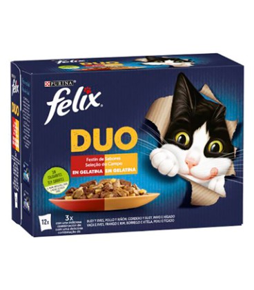 FELIX FANTASTIC DUO DELICIOUS CARNE (12X85G)