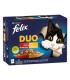 FELIX FANTASTIC DUO DELICIOUS CARNE (12X85G)