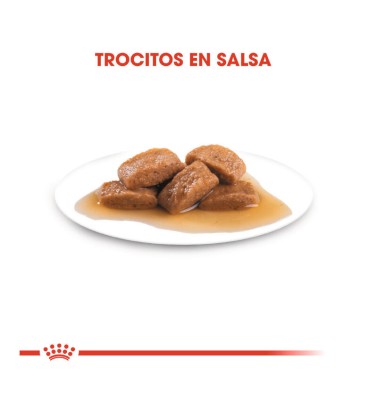 ROYAL CANIN SOBRE HUMEDO MAXI ADULT 140.GR