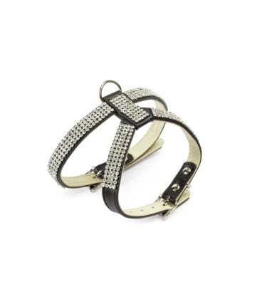 Arnés de cuero con pedrería(Talla M 29/35)