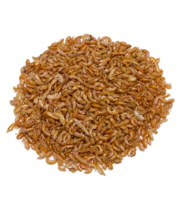 Gammarus - 265 ml(35.GR)