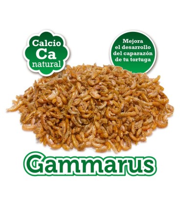 Gammarus - 265 ml(35.GR)