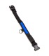 Collar Luminoso LED Azul - talla S 28-40cm/2,5cm