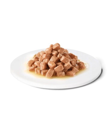 ADVANCE  DOG&CAT HUMEDO RECOVERY 100GR