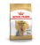 ROYAL CANIN YORKSHIRE TERRIER 3.KG