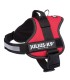 Arnés Julius-K9 Power Rojo(Talla 0 (M–L)	Rojo	58–76 cm/40 mm)