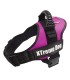 Arnés Xtreme Dog - Rosa M (61-81cm)