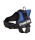 Arnés Xtreme Dog Azul XS (44-57cm)