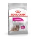 ROYAL CANIN-MINI EXIGENT 3KG