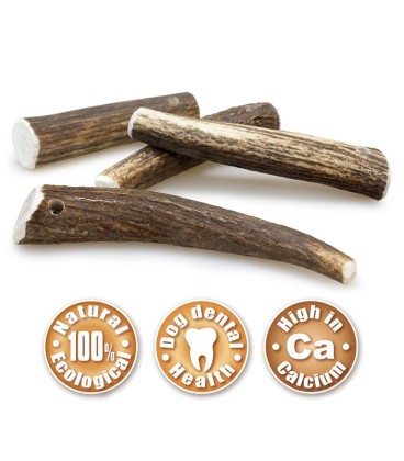 Asta de ciervo - M (40-75 g)