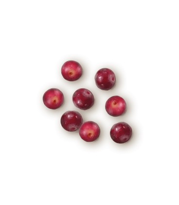 SUPERFOOD SNACKS PAVO ( 85.gr)