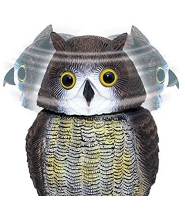 Búho Espantapájaros - Masso